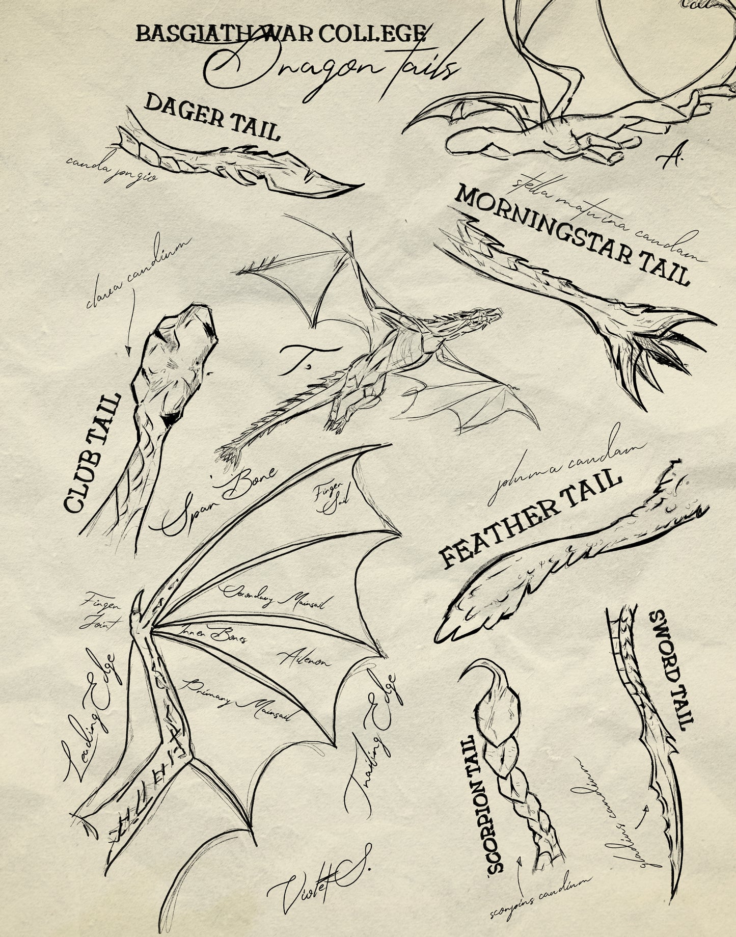 Empyrean Dragon Tails Framed Wall Art