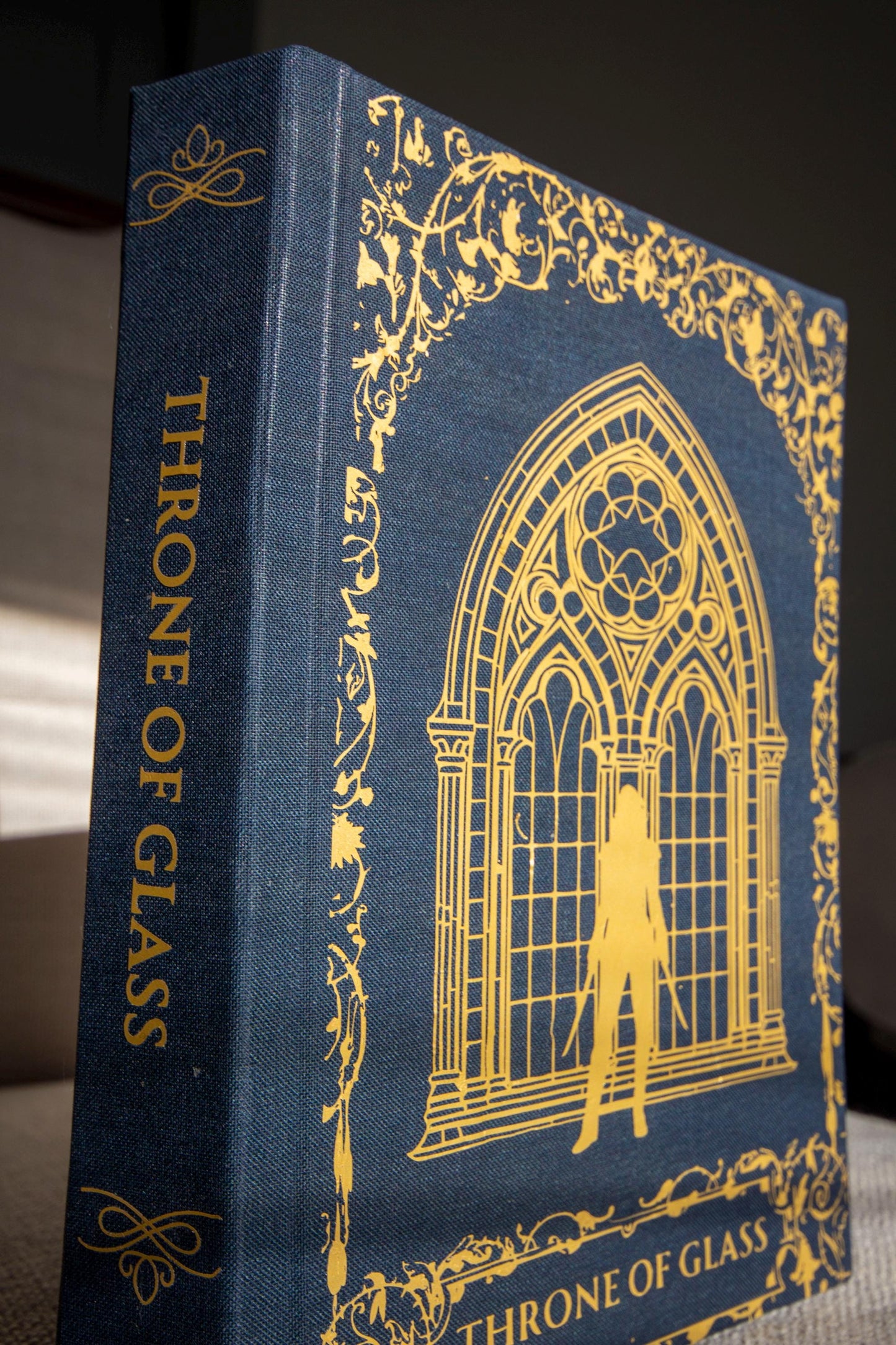 Throne of Glass Rebound - Handmade Collector’s Edition featuring Assassin, Special Gold Detailed Artwork Christmas Gift